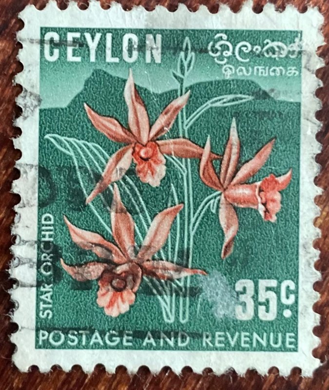 Ceylon #314 Used Single Star Orchid