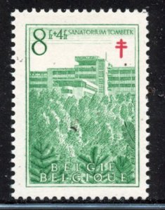 Belgium # B491, Mint Hinge.