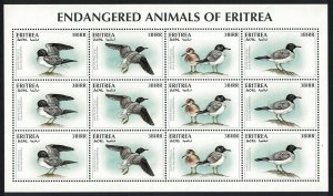 Eritrea White-eyed Gull Bird WWF-related issue 4v Sheetlet SG#327-330