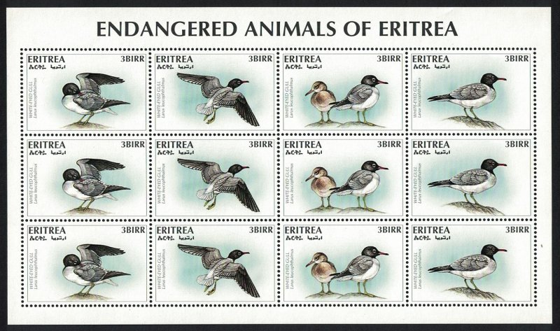 Eritrea White-eyed Gull Bird WWF-related issue 4v Sheetlet SG#327-330