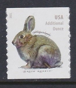5545 Brush Rabbit Coil MNH
