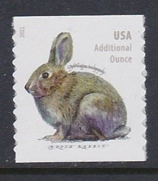 5545 Brush Rabbit Coil MNH