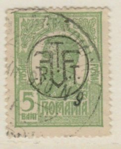 Romania Black Overprint 1919 5b Used A18P25F608-