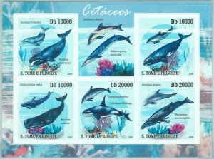 M1604 - S TOME & PRINCIPE,ERROR, 2009 IMPERF SHEET: Cetaceans Marine Life, Whale