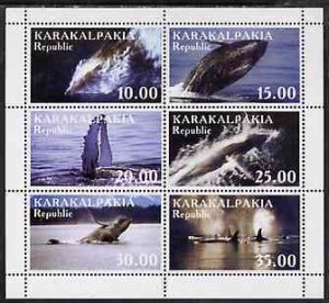 KARAKALPAKIA - 1998 - Whales - Perf 6v Sheet - Mint Never Hinged