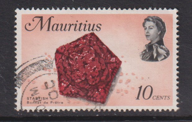 Mauritius  #343  used   1969  marine life  10c