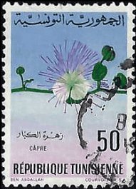 TUNISIA   #507 USED (1)