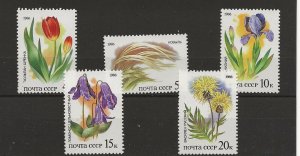 Russia 1986 Plants of the Steppes   set of 5 sg.5622-6   MNH