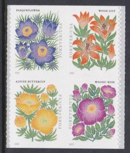 5679a Mountain Flora MNH
