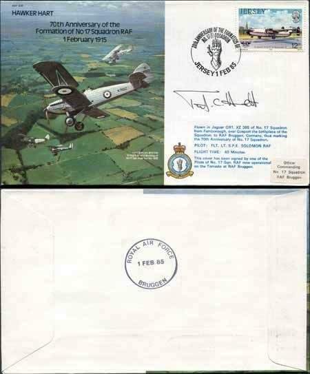 B16b 70th Anniv of the Formation of No.17 Squadron Pilot Signed (D)