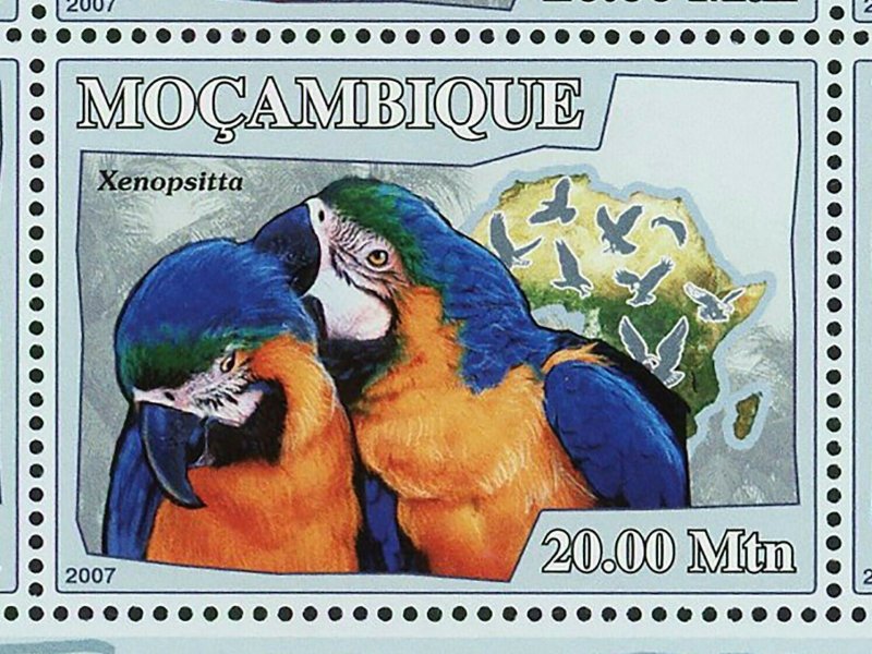 Parrots Stamp Birds Serudaptus Xenopsitta Psittacopes S/S MNH #3023-3028