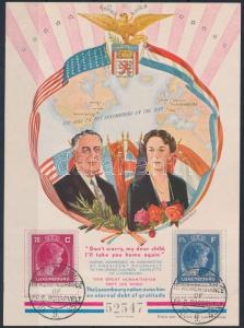 Luxemburg stamp Roosevelt memorial sheet MNH 1945 WS196365