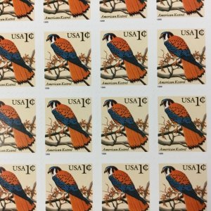  3031    American Kestrel    MNH 1 cent sheet of 50.   Issued In 1999.