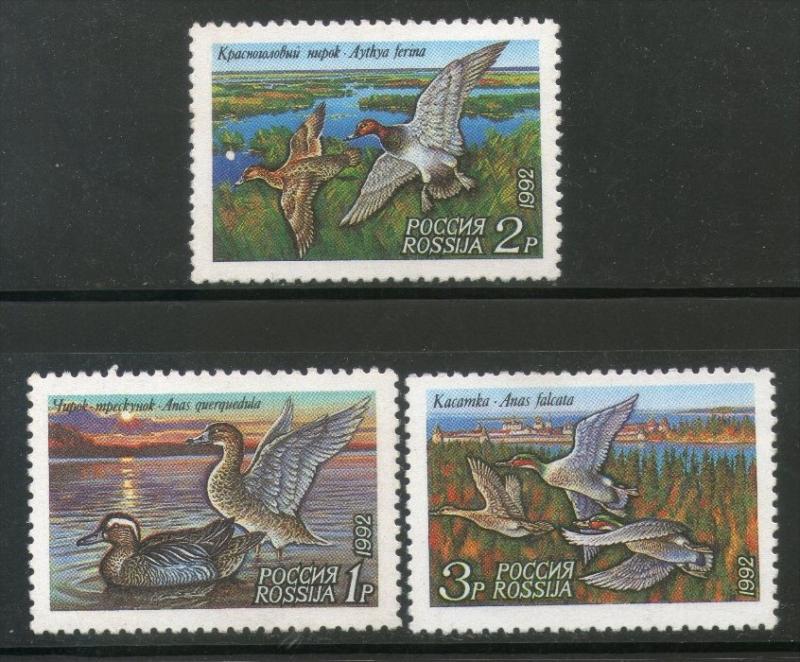 Russia 1992 Ducks Birds Animals Sc 6090-92 MNH # 2245