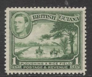 British Guiana - Scott 230 - KGVI- Definitive -1938 - MVLH - Single 1c Stamp