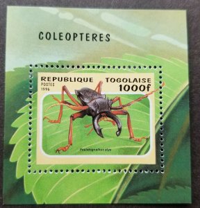 *FREE SHIP Togo Insect Beetles 1996 Bug Nature (ms) MNH