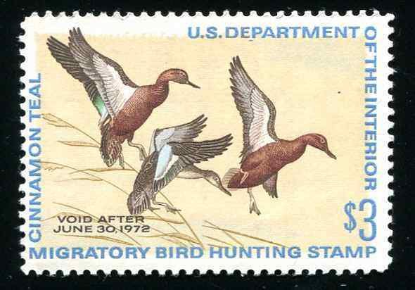 #RW38 US Federal Duck Stamp 1971 Cinnamon Teal Small Gum Disturbance 