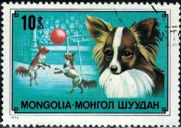 Dog, Papillon, Mongolia stamp SC#1028 used