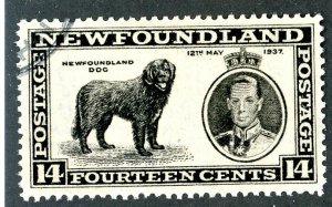 Newfoundland, Scott #238, Used