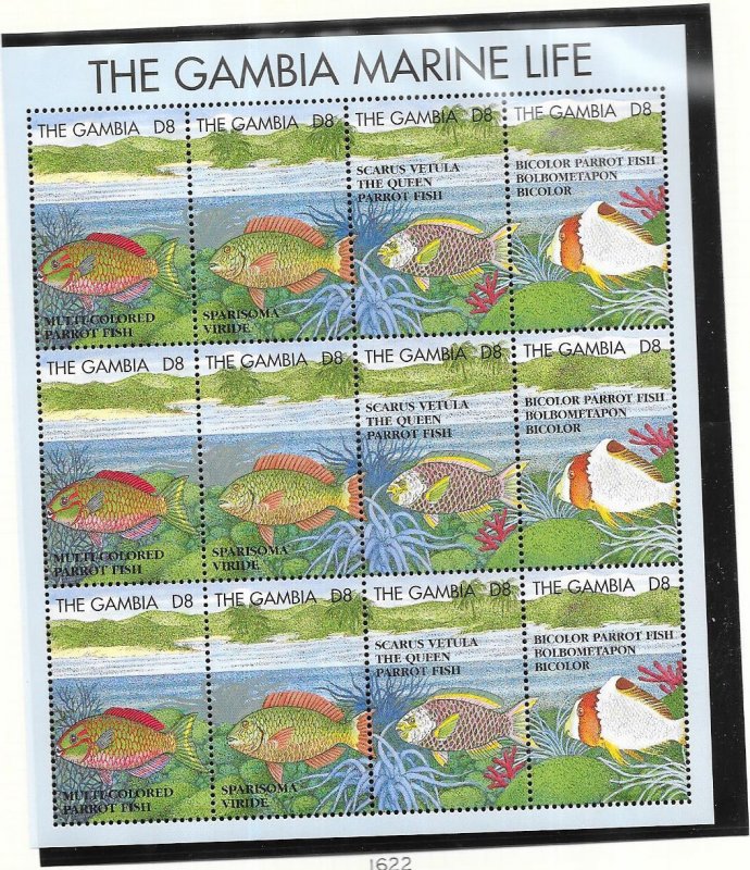 Gambia #1622  3d  The Gambia Marine Life  Sheet of 12  (MNH) CV10.00