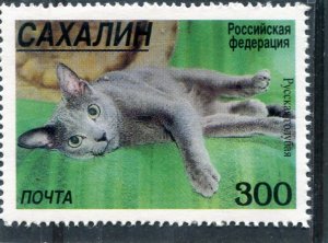 Noyta 1998 Russia Local DOMESTIC CAT 1 value Perforated Mint (NH)