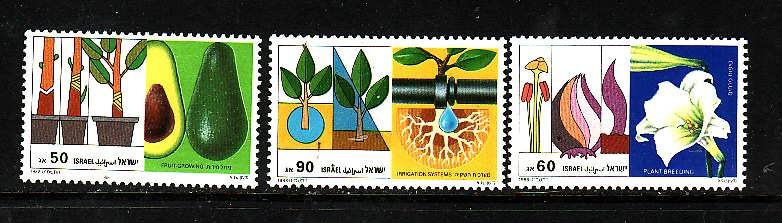 Israel-Sc#1004-6 -unused NH set-Agricultural Achievements-1988-