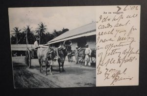 1906 Jamaica Postcard Cover Kingston to San Francisco California to Ashfield NSW