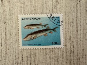 Azerbaijan #541 Used, 250m, Fauna and Flora, 2024 SCV $0.60