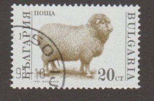 Bulgaria 3581 Sheep