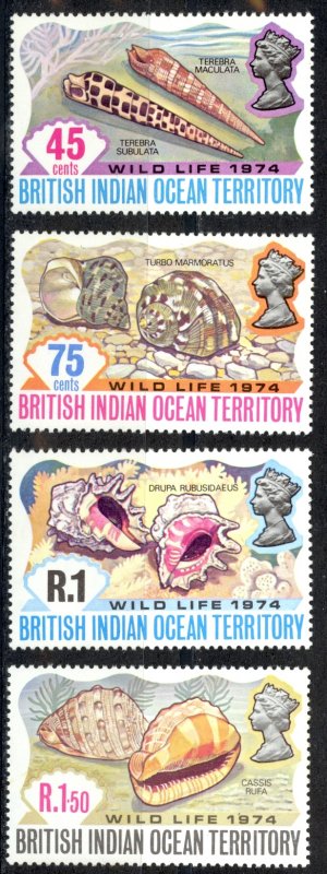 British Indian Ocean Territory Sc# 59-62 MNH 1974 Sea Shells