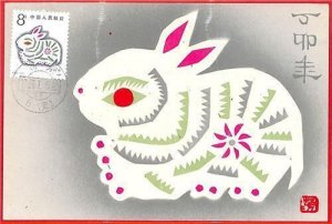 aa3310 - CHINA PRC - HISTORY POSTCARD - MAXIMUM CARD Rabbit CHINESE YEAR 1987-