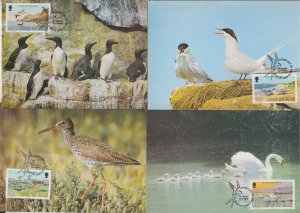 Isle Of Man 1983 - Sea Birds set 4 Maxicard