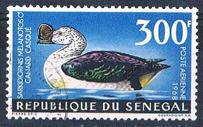 Senegal C56 Used Knob Gilled Goose ll 1969 (S0824)+