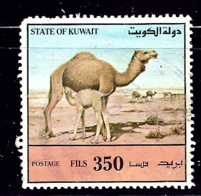 Kuwait 1172 Used 1991 Camels   nibbed corner perf    (ap1013)