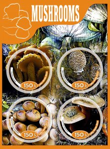 Stamps Plants Mushrooms 1+1 sheets perforated MNH** 2017 year