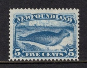 Newfoundland 55 F MH