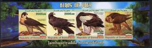 Somaliland 2011 Birds of Prey #2 imperf sheetlet containi...