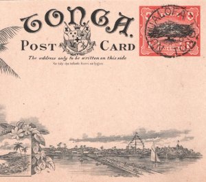 TONGA Stationery ILLUSTRATED Postcard *ORANGE GROVES* PPC Nukuʻalofa CDS MA592