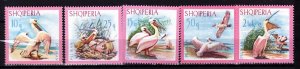 ALBANIA Sc 1012-6 NH ISSUE OF 1967 - BIRDS-PELICANS