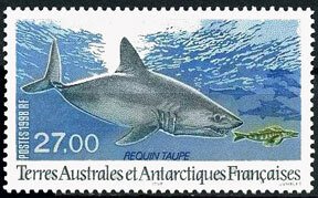 Scott #242 Mole Shark MNH