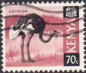 Kenya   #28 Used