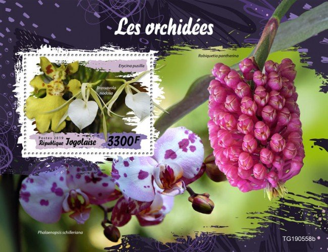 TOGO 05 11 2019 Code: TG190544a-TG190564b. Orchids. Blok.