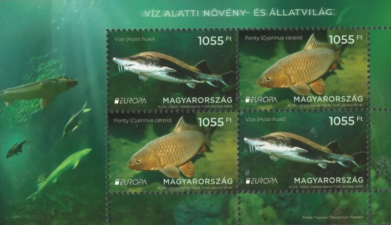 Hungary 2024 MNH Souvenir Sheet Stamps Europa CEPT Marine Life Fish