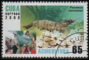 Cuba 4818 - Cto - 65c Whiteleg Shrimp (2008) (cv $1.30)