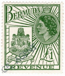 (I.B) Bermuda Revenue : Duty Stamp £1