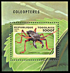 Togo 1712, MNH, Beetle souvenir sheet