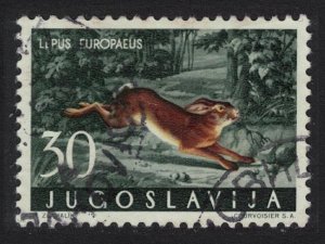 Yugoslavia Brown hare Forest Mammal 1960 CTO SC#575 SG#959 MI#920