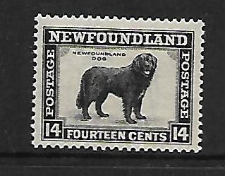 NEWFOUNDLAND 194  MNH  COUNTRY DOG, 1932