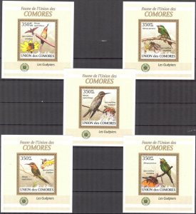 {328} Comoros 2009 Birds Bee-Eaters 5 S/S Deluxe MNH**