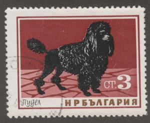 Bulgaria 1350 Dogs 1964